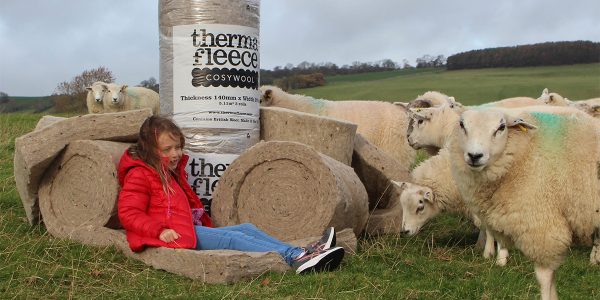 Anna, sheep and cosywool roll Thermafleece CosyWool Roll, made from British Sheeps Wool and manufactured in Yorkshire