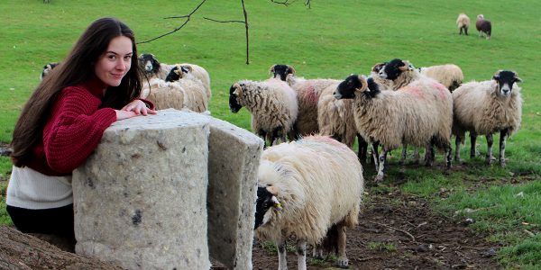 Thermafleece CosyWool Roll and sheep Thermafleece CosyWool Roll and sheep